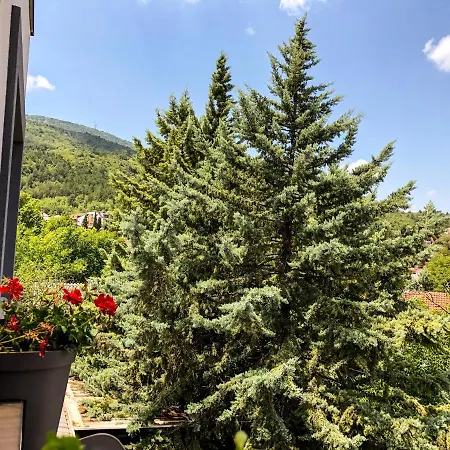 Hilltop Apartment *